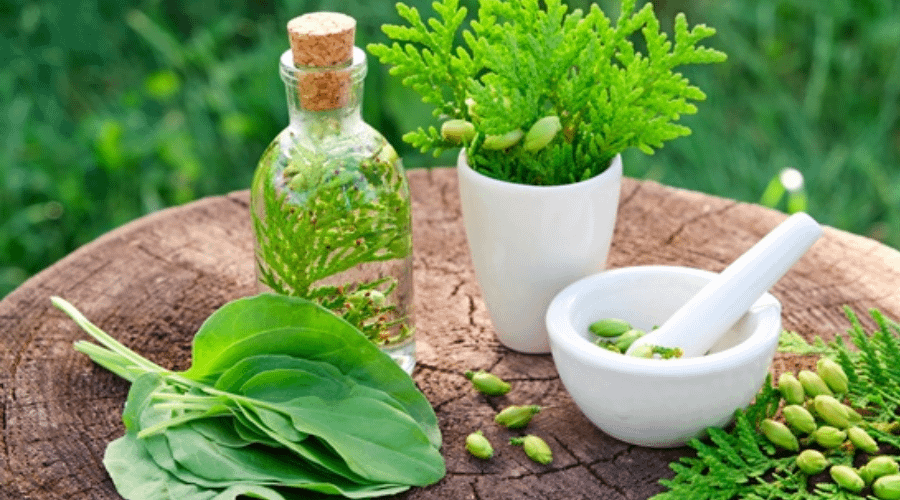 Ayurvedic medicines