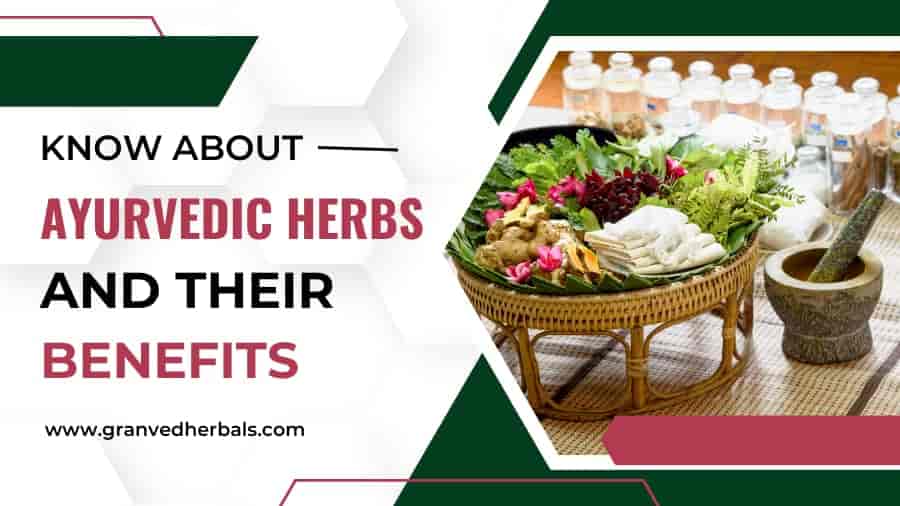 Know About Ayurvedic Herbs And Their Benefits